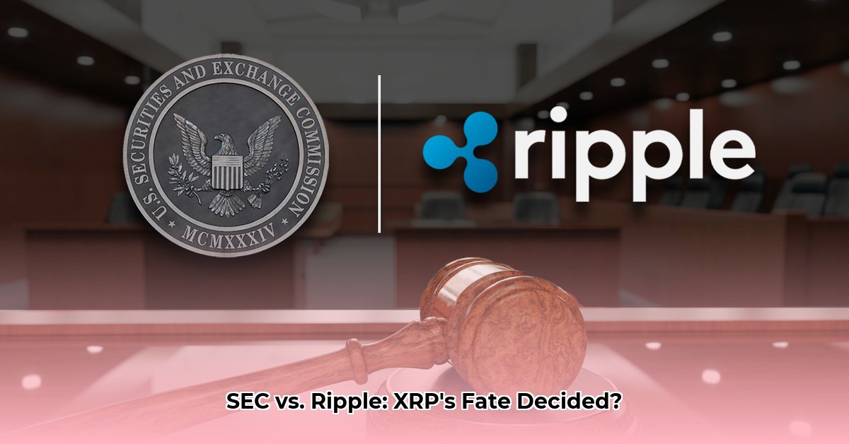 sec-vs-ripple-news-today